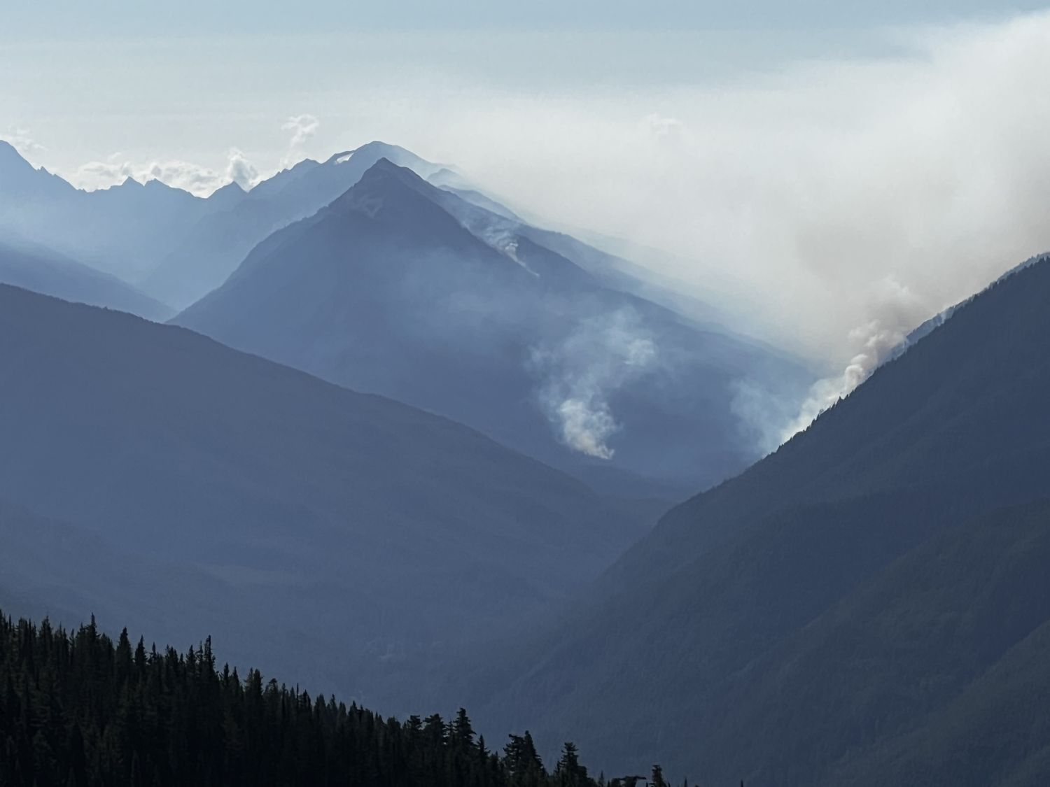 Olympic NP 